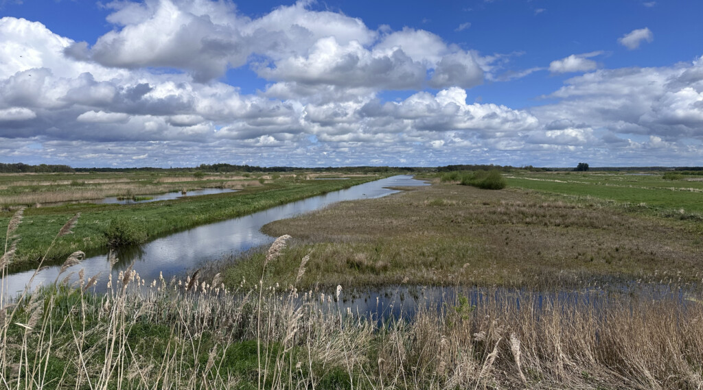 Tienhovense plassen foto