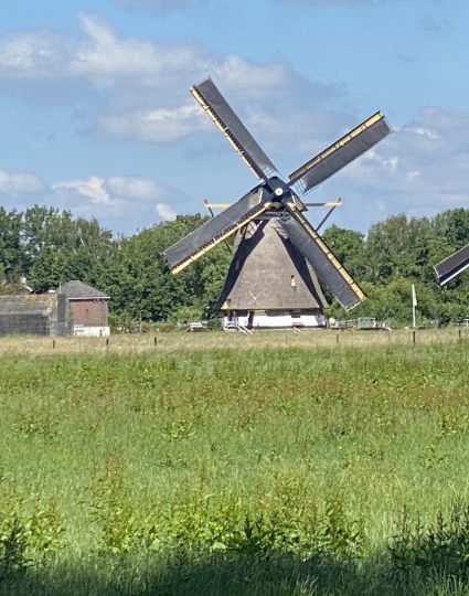 Maarssen molens - Hotel Flora Batava